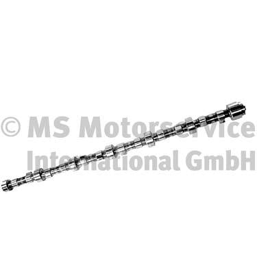BF 20100410000 Camshaft