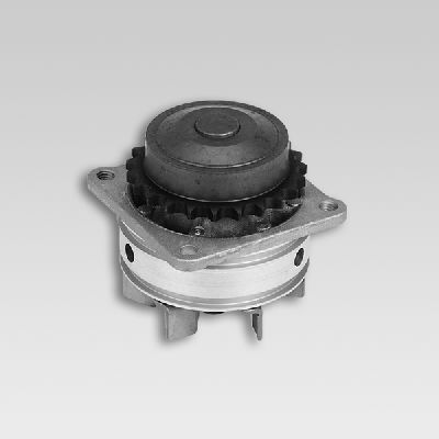 HEPU P737 Water Pump