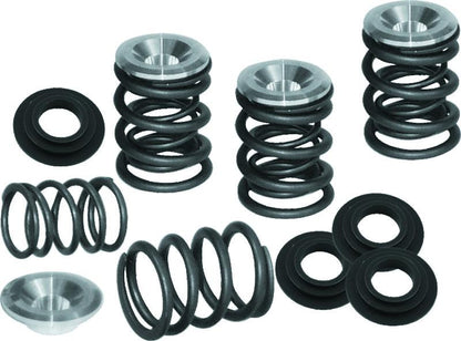 S&S Cycle 48-84 BT Dual Valve Spring Kit - .550in