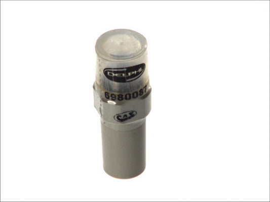 DELPHI 6980087 Injector