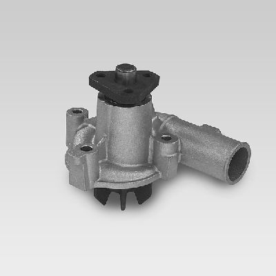 HEPU P821 Water Pump
