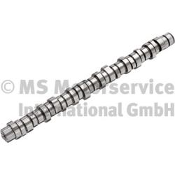 BF 20100413007 Camshaft