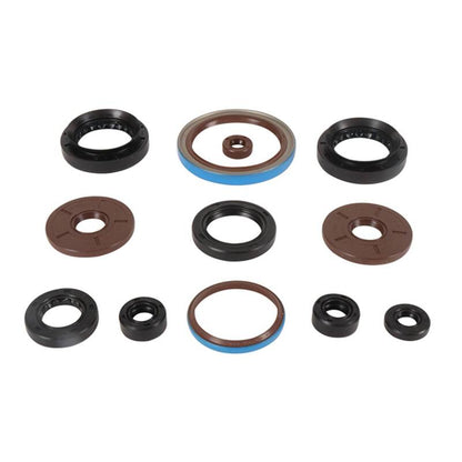 Vertex Pistons Vertex Gaskets 2011 Arctic Cat 1000 H2 LTD Oil Seal Kit
