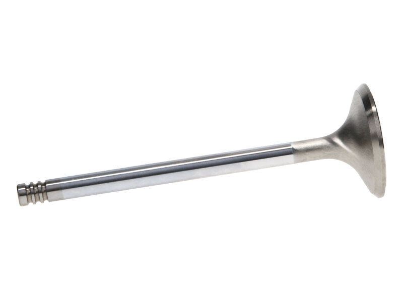 Manley Performance Manley Chrysler Hemi 6.1L 1.625in Race Master B/L Exhaust Valves (Set of 8)