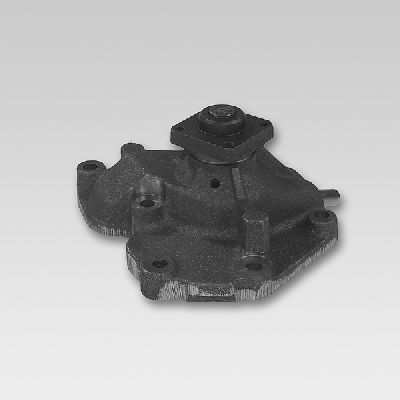 HEPU P214 Water Pump