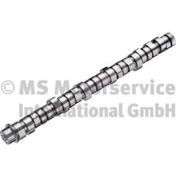 BF 20100409000 Camshaft