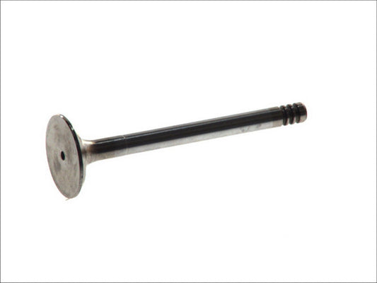 FRECCIA 4646/SCR Intake Valve