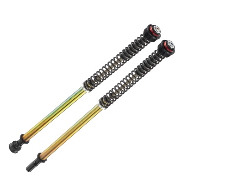 Bitubo Suspension Bitubo JBHV1 Pressurized Cartridge Adj.: Spring Preload, Rebound, Comp., w/o Oil, Blk Ring