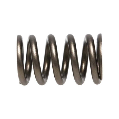 Manley Performance Manley Valve Spring, SPRING-NISSAN PATROL TB48