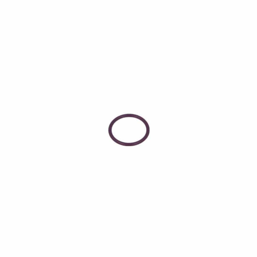 Delphi 9307-403U Seal Ring, Injector