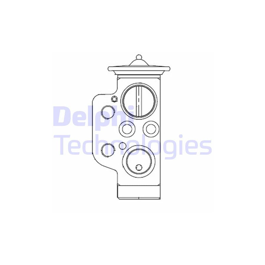 Delphi Cb1009V Ac Expansion Valve For Vw Touareg Ii (7P5, 7P6)