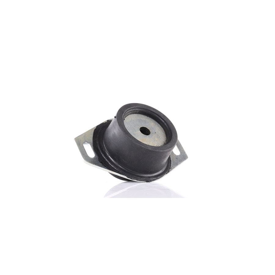 Delphi Tem065 Engine Mount