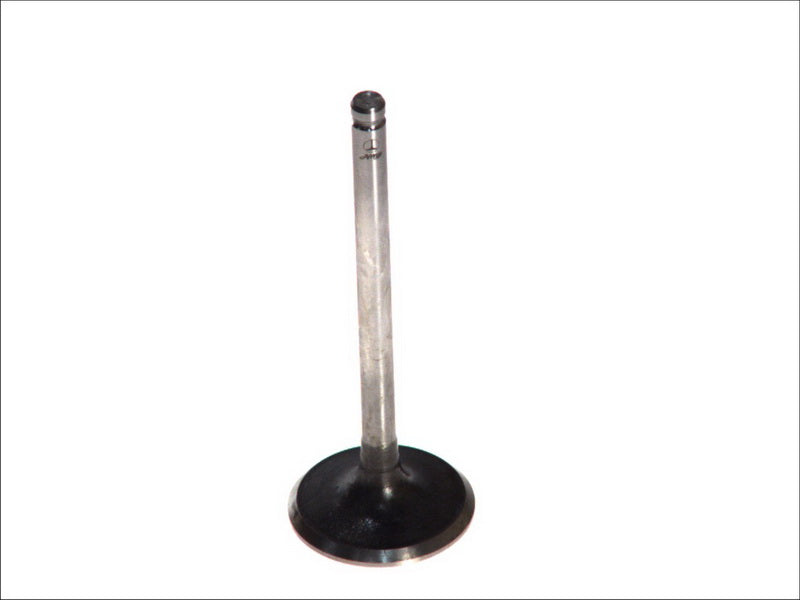 PARADOWSCY PDAE011 Intake Valve