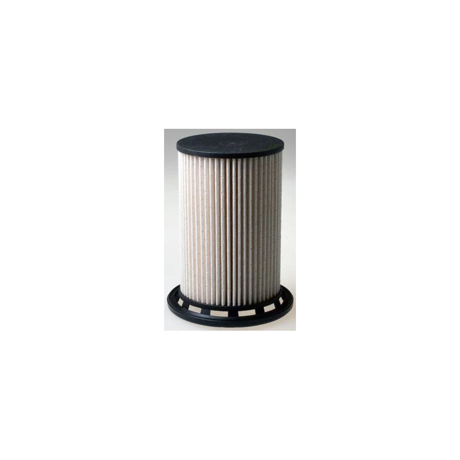 Denckermann A110689 Fuel Filter