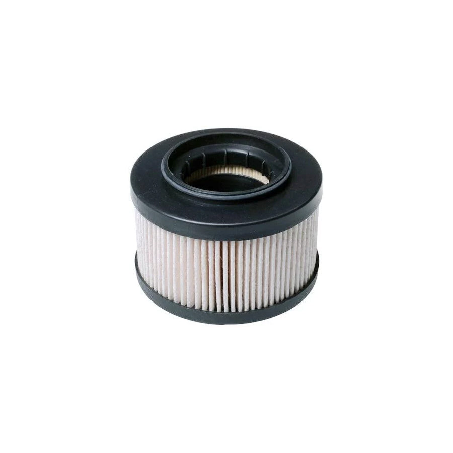 Denckermann A120338 Fuel Filter