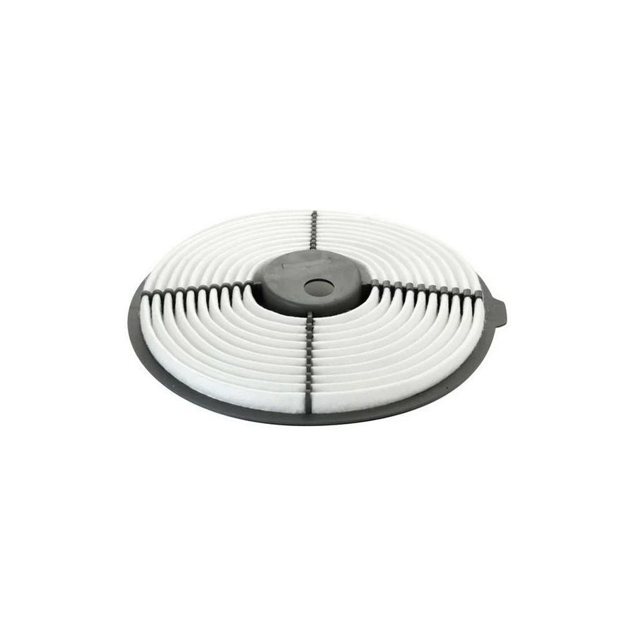 Denckermann A140065 Air Filter