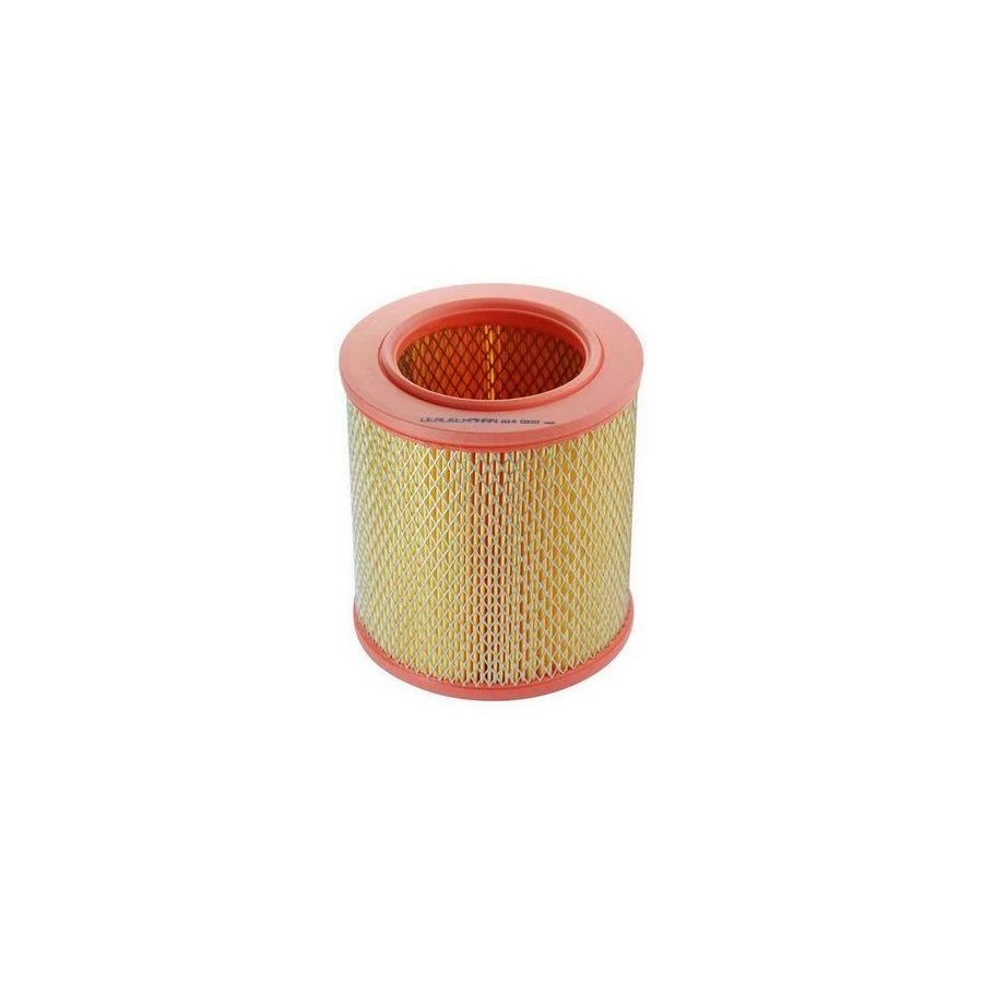 Denckermann A140310 Air Filter