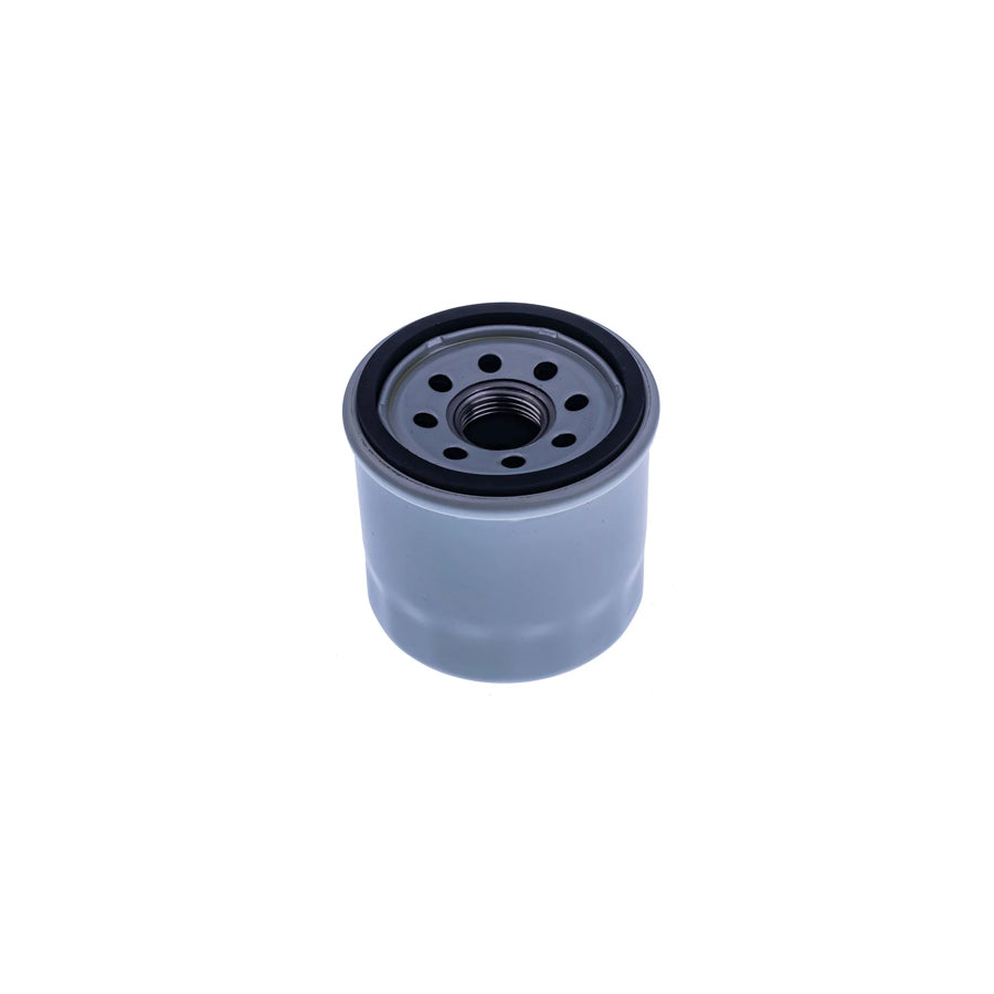 Denckermann A220036 Hydraulic Filter, Automatic Transmission