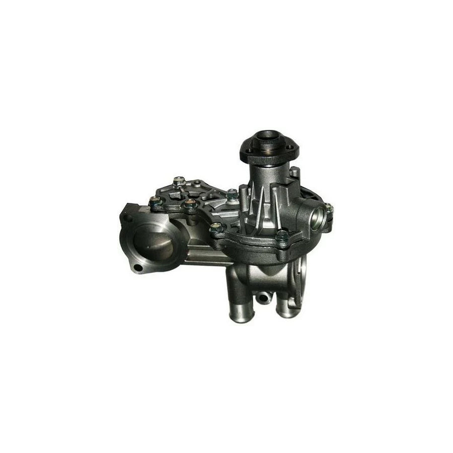 Denckermann A310025P Water Pump