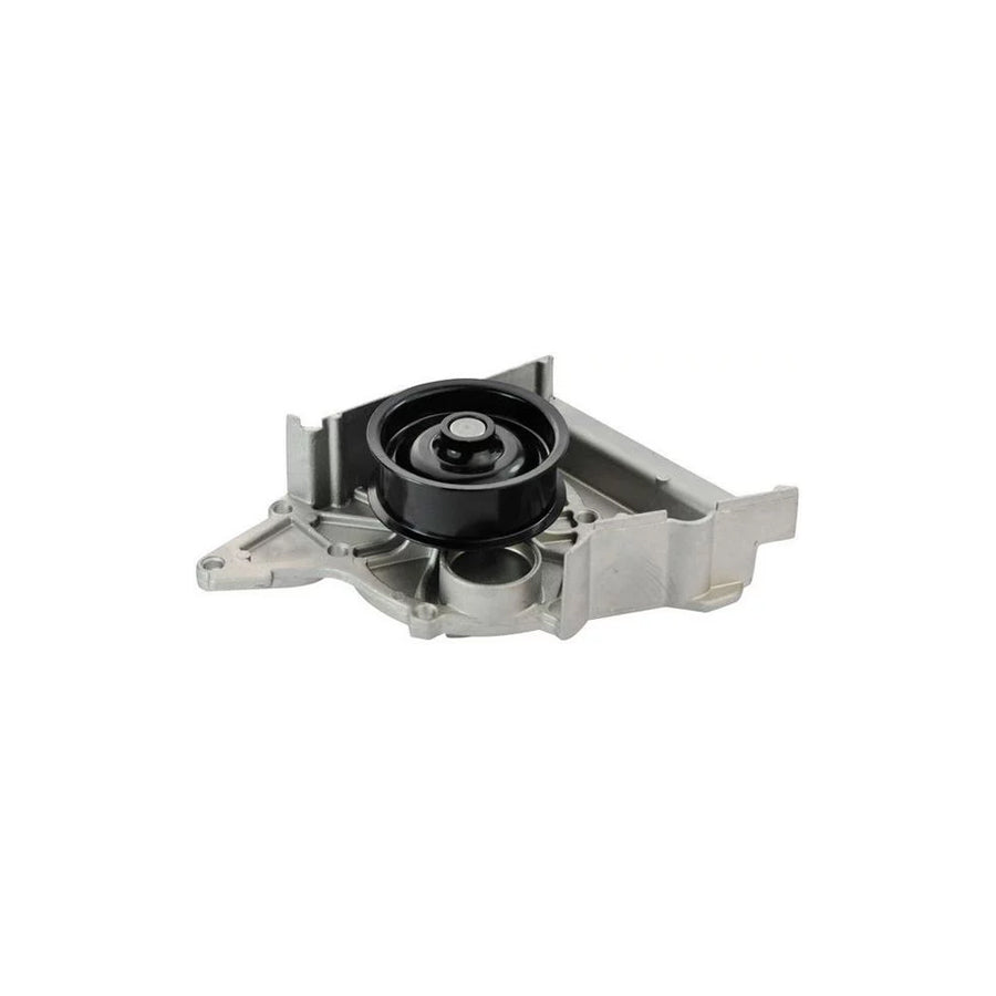 Denckermann A310136P Water Pump