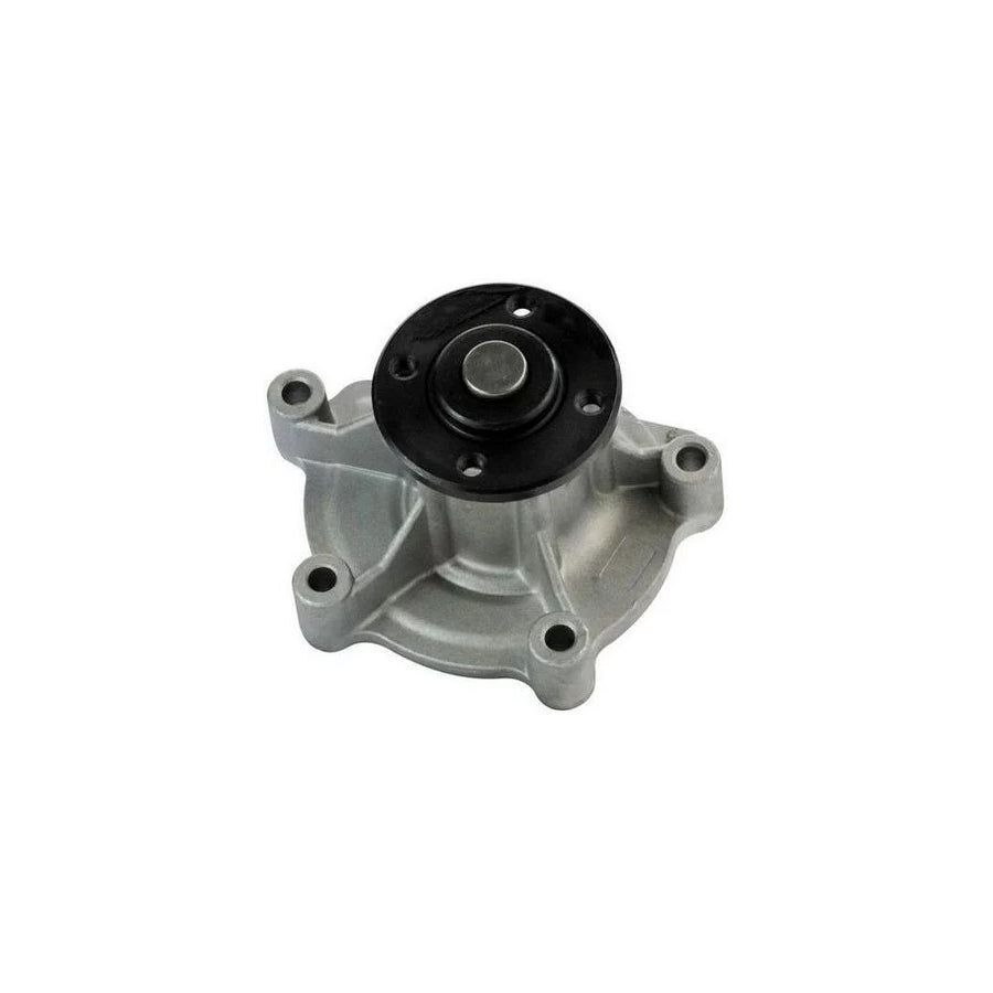 Denckermann A310214P Water Pump