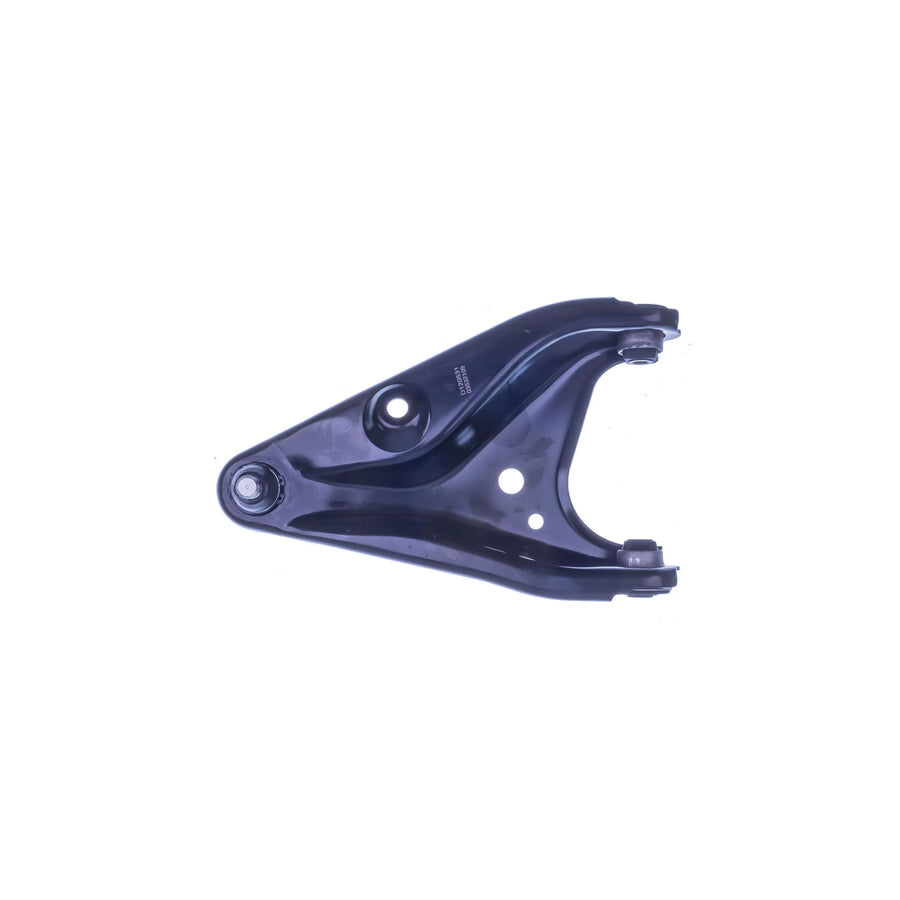 Denckermann D120531 Suspension Arm