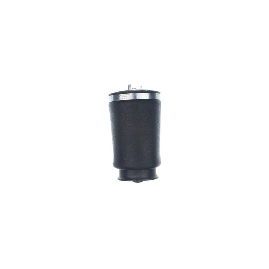 Denckermann Dsa128G Dsa128G Air Spring, Suspension for BMW 5 Touring (E39)