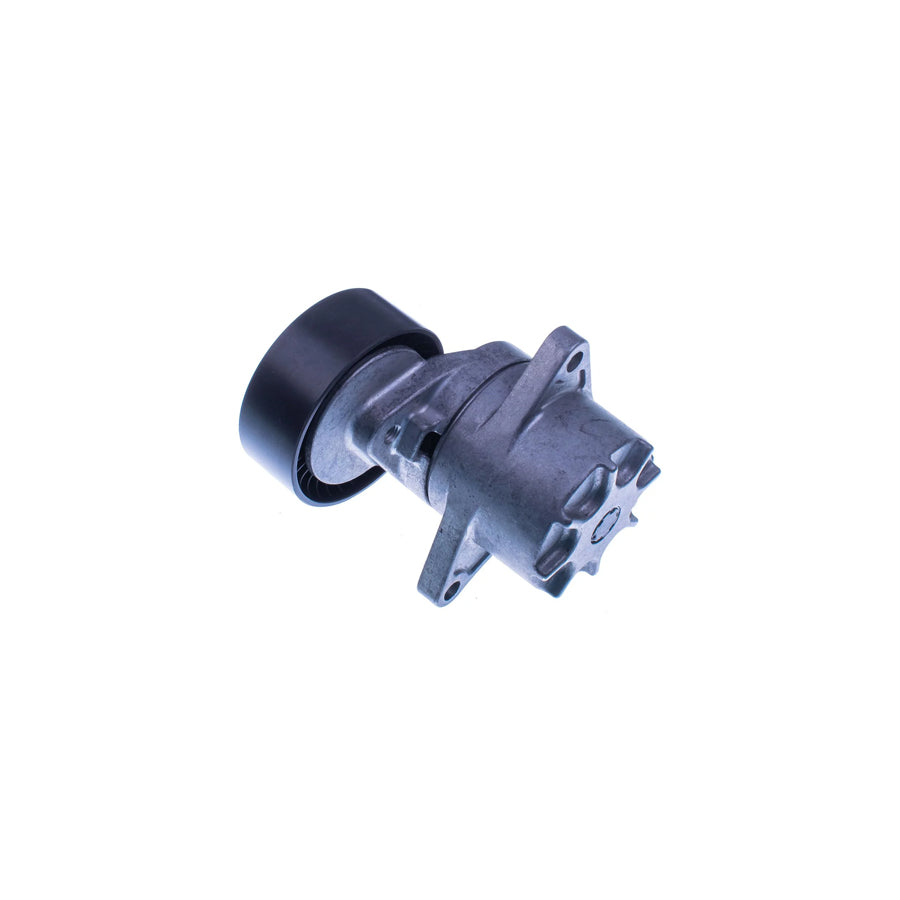 Denckermann P420001 Belt Tensioner, V-Ribbed Belt