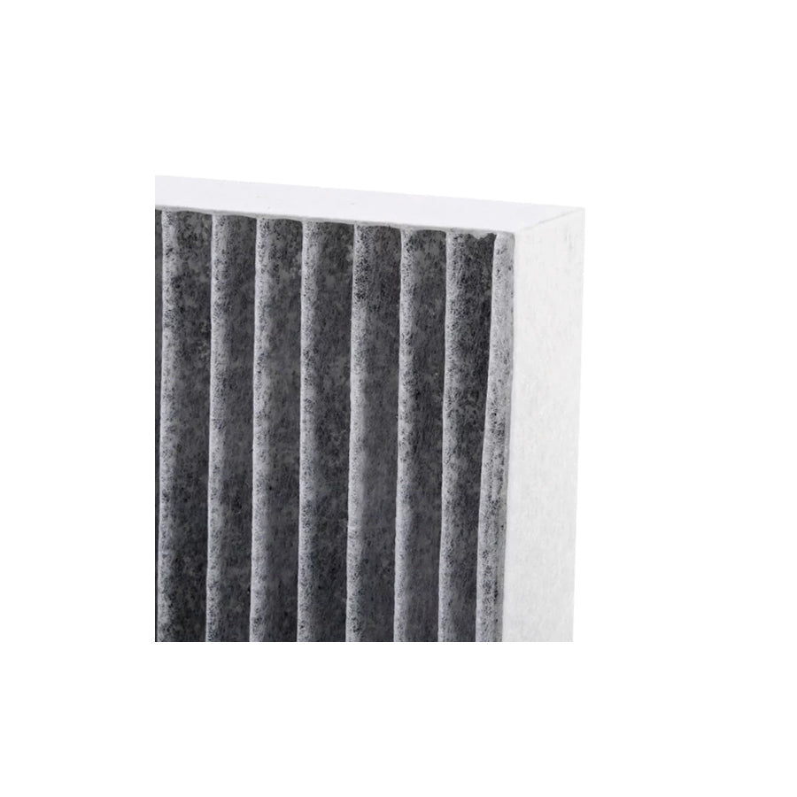 DENSO DCF120K Pollen Filter