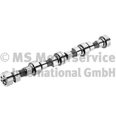 BF 20100208340 Camshaft