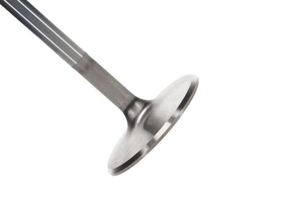 Manley Performance Manley Chevrolet Small Block Intake Valve Kit - 2.055in Head Dia. 4.911in O/A Length, 0.3415in Stem