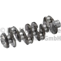 KOLBENSCHMIDT 20050365100 Crankshaft
