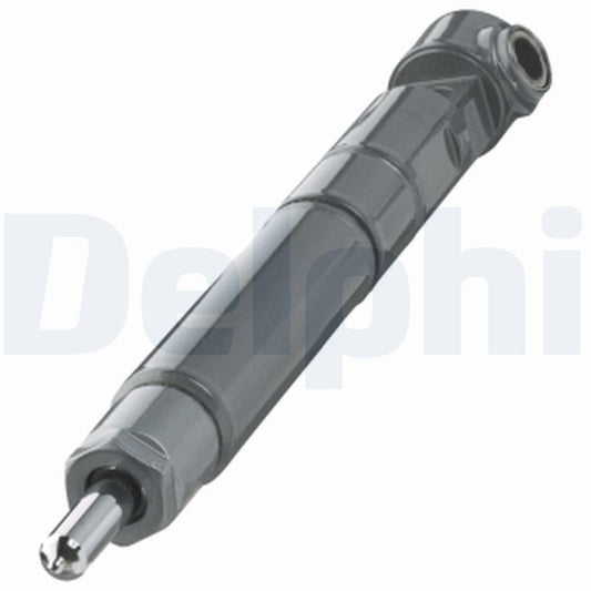 DELPHI R00502Z Injector