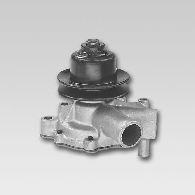 HEPU P753 Water Pump