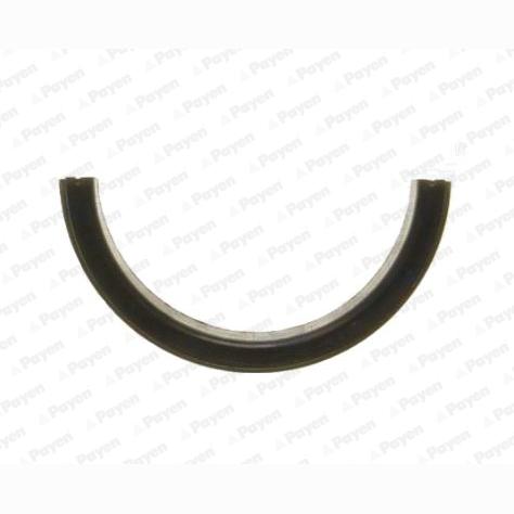 PAYEN LV501 Crankshaft Shaft Seal