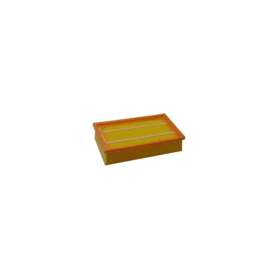 Champion Caf100821P Air Filter