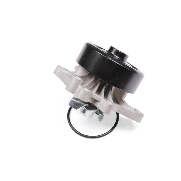 HEPU P7951 Water Pump