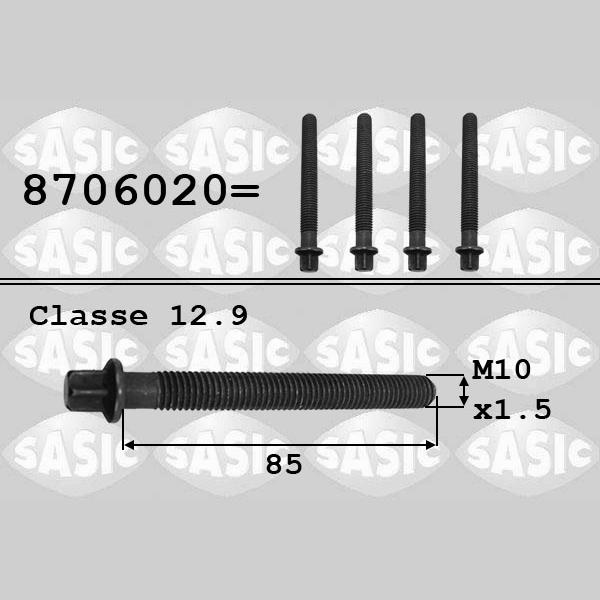SASIC SAS8706020 Pulley Bolt