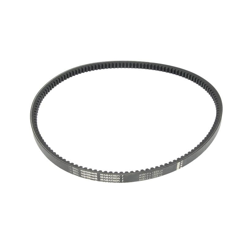 OPTIBELT 17X1225AVX V-Ribbed Belt
