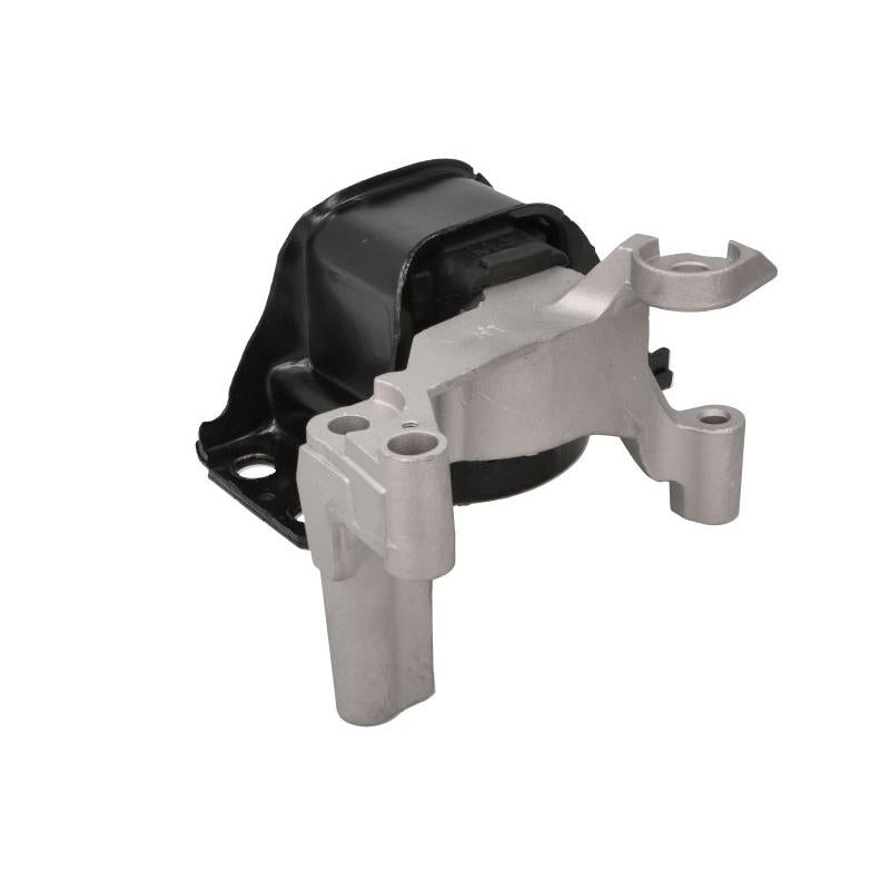 TEDGUM TED49619 Engine Mount