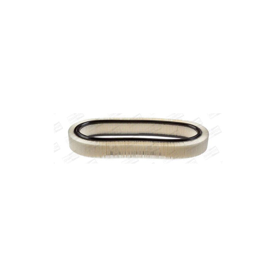 Champion Caf100148R Air Filter
