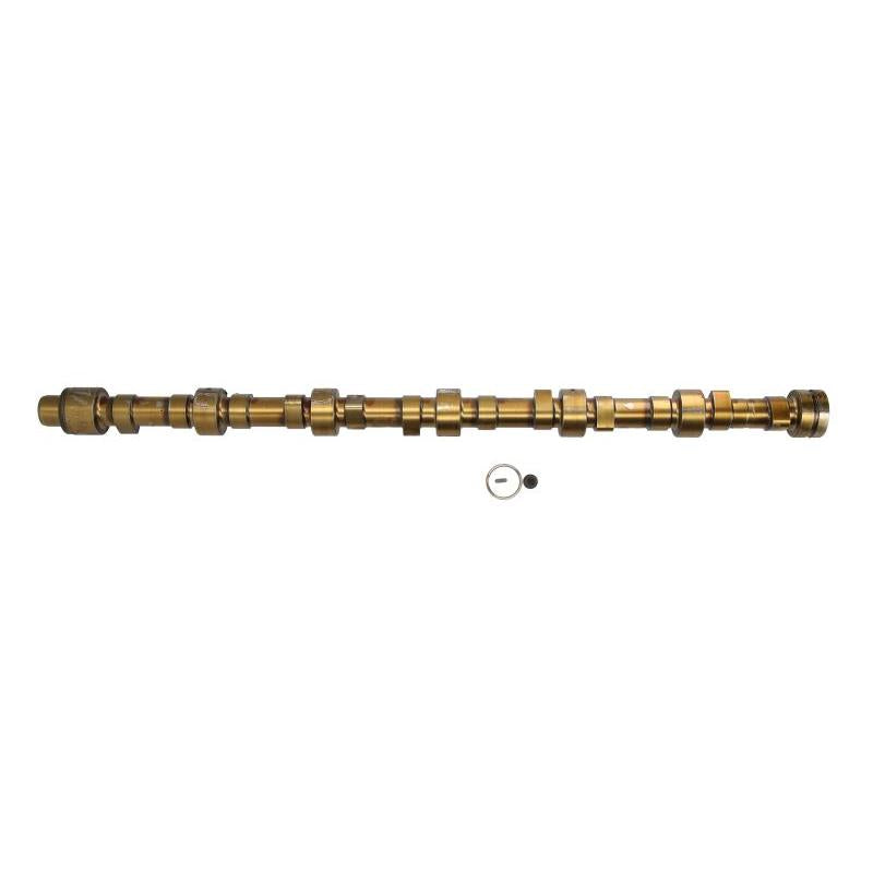 BF 20100910502 Camshaft