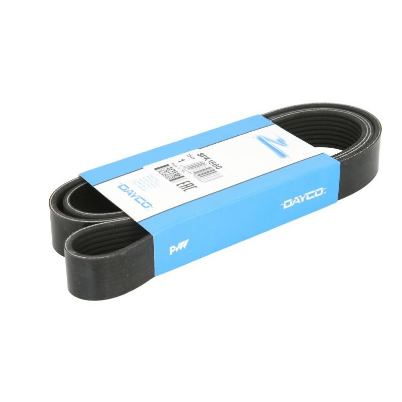 DAYCO DAY8PK1560 V-Ribbed Belt