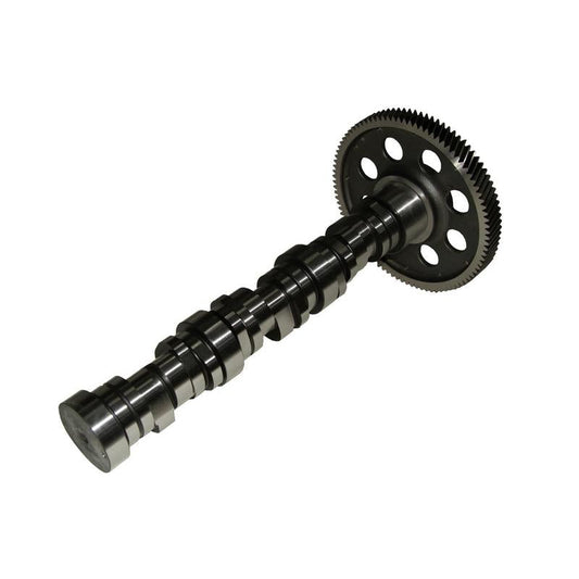 BF 20100350100 Camshaft