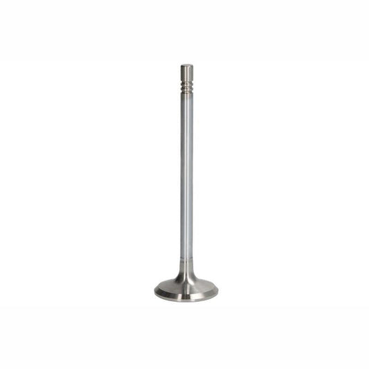 NE 147021001200 Intake Valve