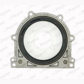 PAYEN NA5074 Crankshaft Shaft Seal