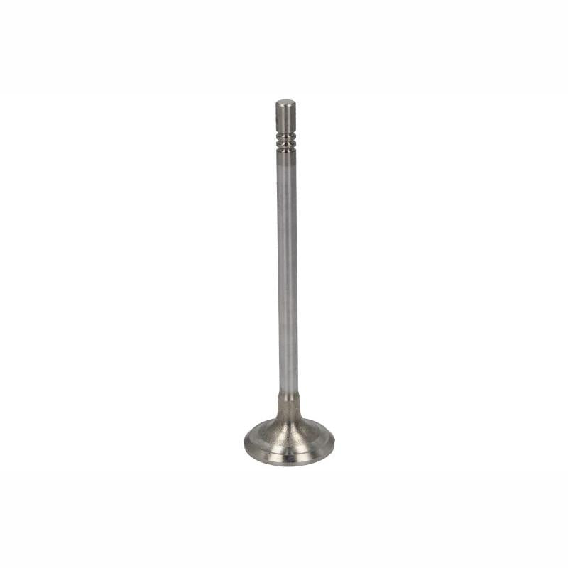 MOTIVE MOTEQ32003698 Exhaust Valve