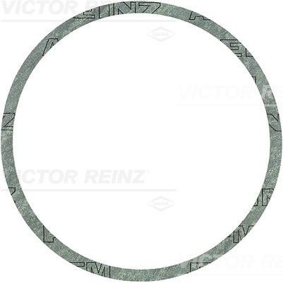 REINZ 40-81168-00 Cylinder Liner Gasket Set