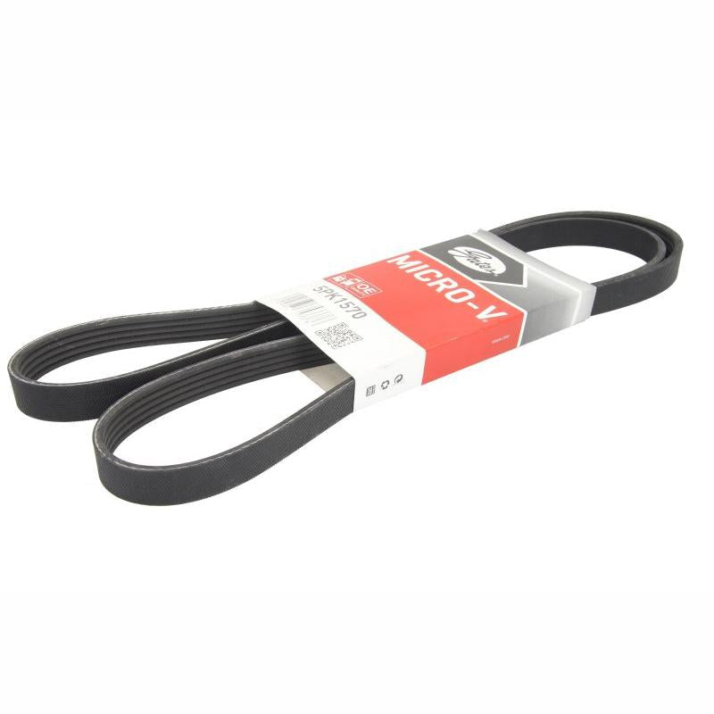 GATES GAT5PK1570 V-Ribbed Belt
