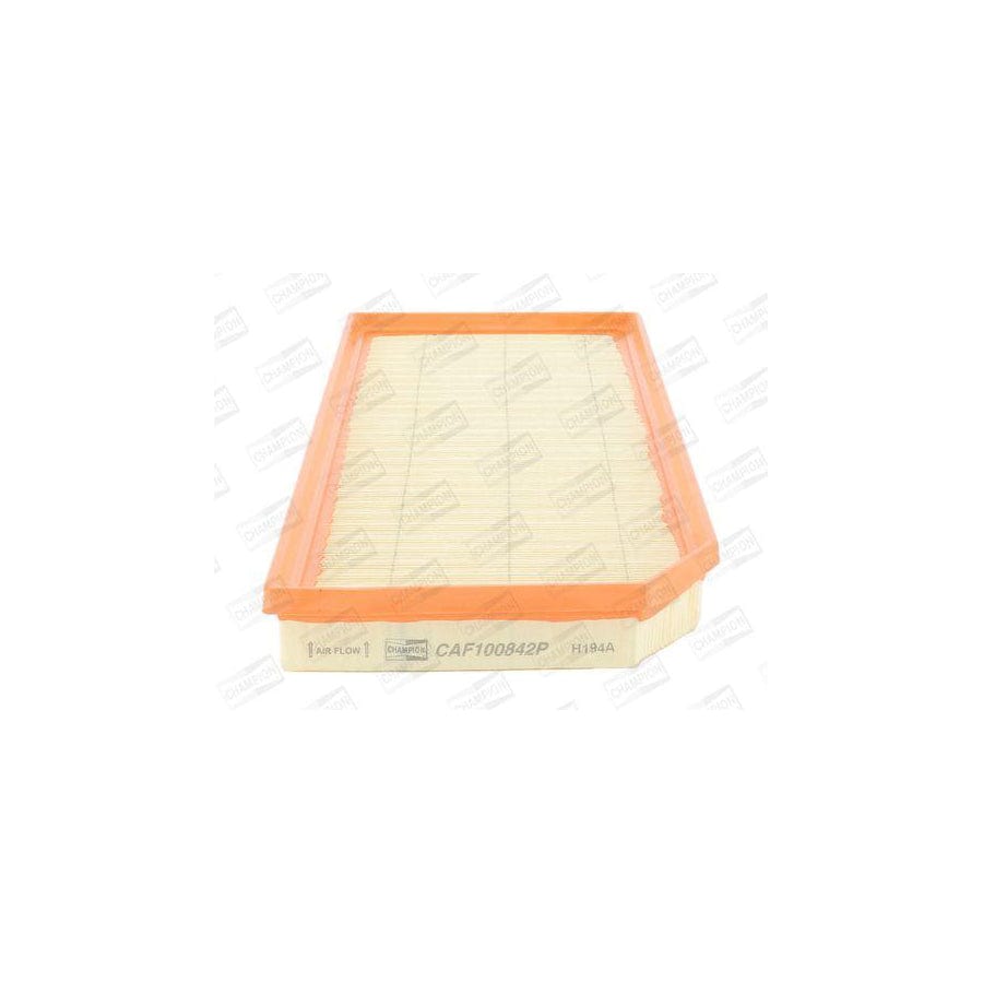 Champion Caf100842P Air Filter